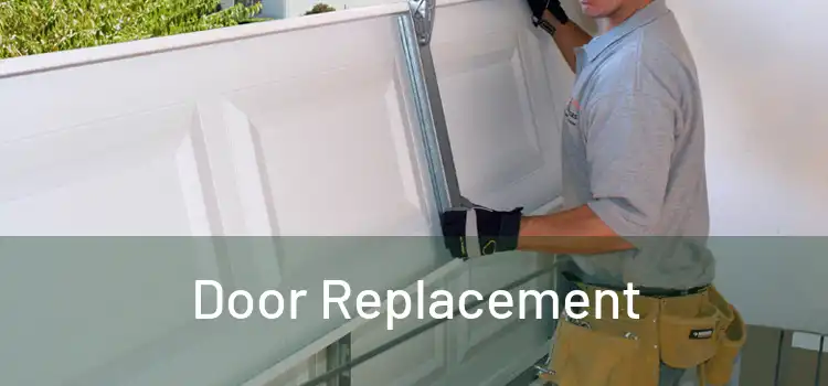 Door Replacement 